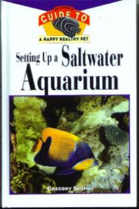Setting Up a Saltwater Aquarium HB Pic 1