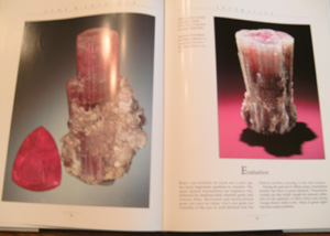 GEMS & CRYSTALS :: Oversized Illustrated HB w/ DJ Pic 4