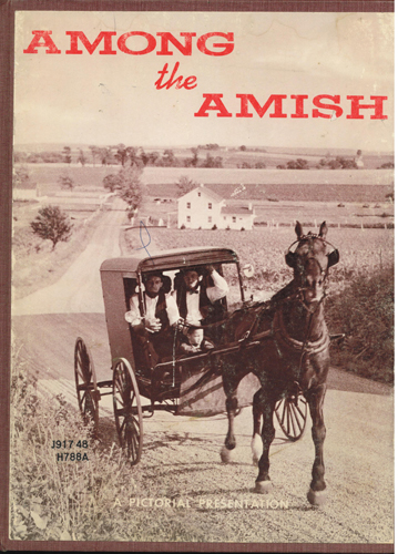 AMONG the AMISH 1975 HB Pic 1