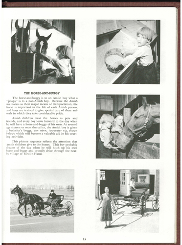 AMONG the AMISH 1975 HB Pic 2