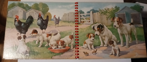 ANIMALS ON THE FARM 1946 Oversized Picture HB Pic 2