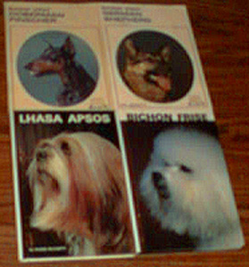 Lot of 8: Dog Related Books Pic 2