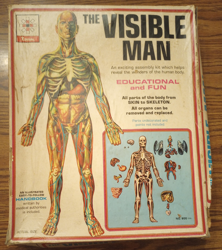 The Visible Man - No. 800 Pic 1