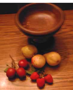 Ceramic Fruit Bowl with Plastic Fruit Pic 2